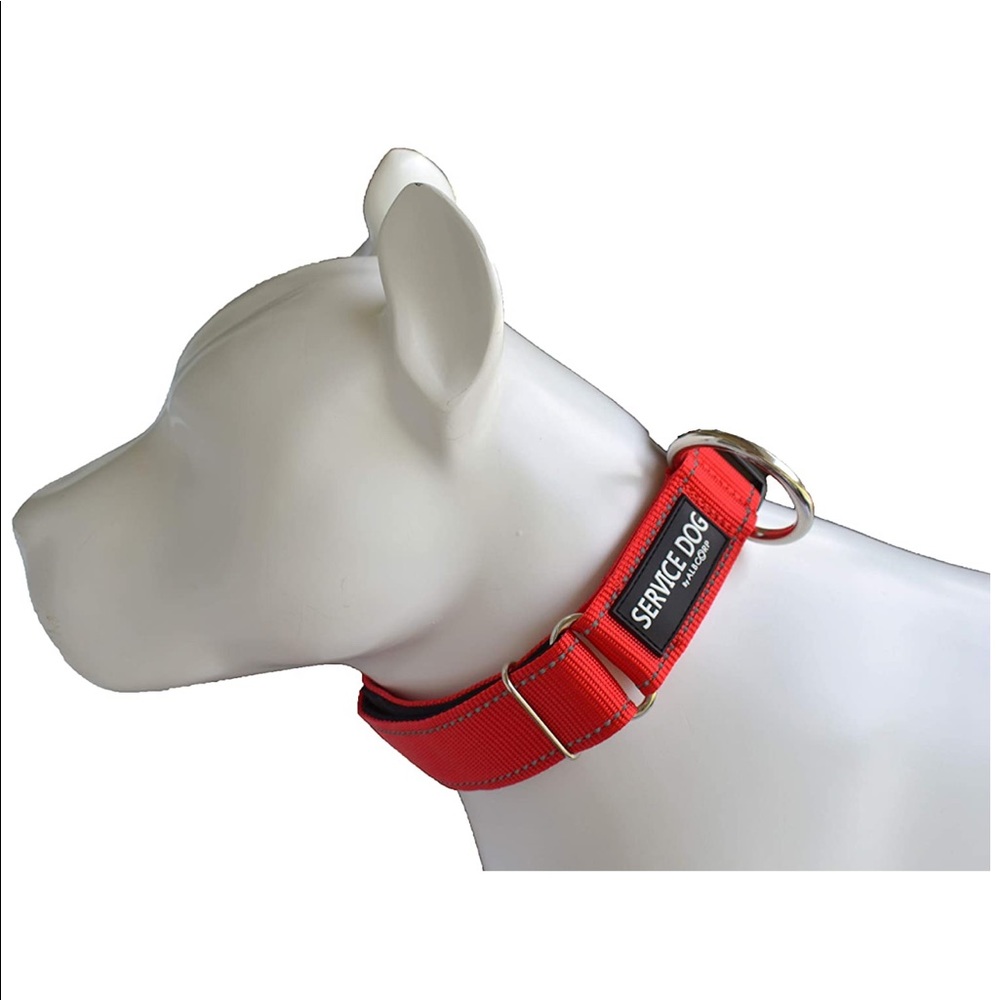 Service Dog Collar the lowest setting it fits 26”
